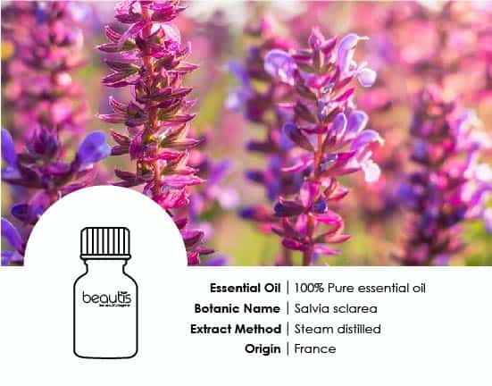 Clary Sage Essential Oil